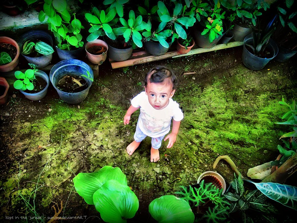 Call for Papers: Zwischen Rechtedschungel und App-Überfluss: Medienkompetenz für Studium und Lernen fördern