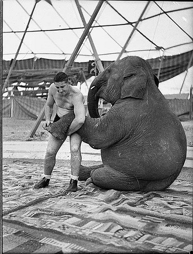 Nach der Tagung ist vor der Tagung