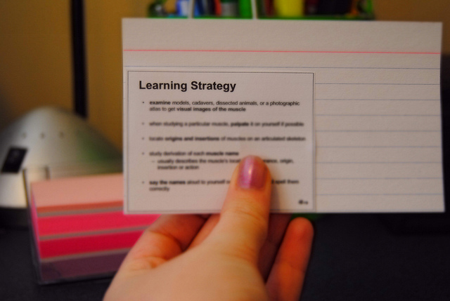 Besser Lernen mit Lernkarteitools