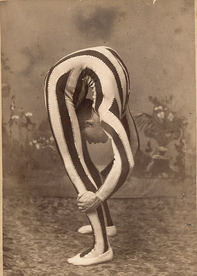 „Moodle ist sehr, sehr flexibel“