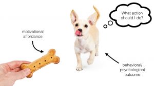 Does gamification work? It depends…