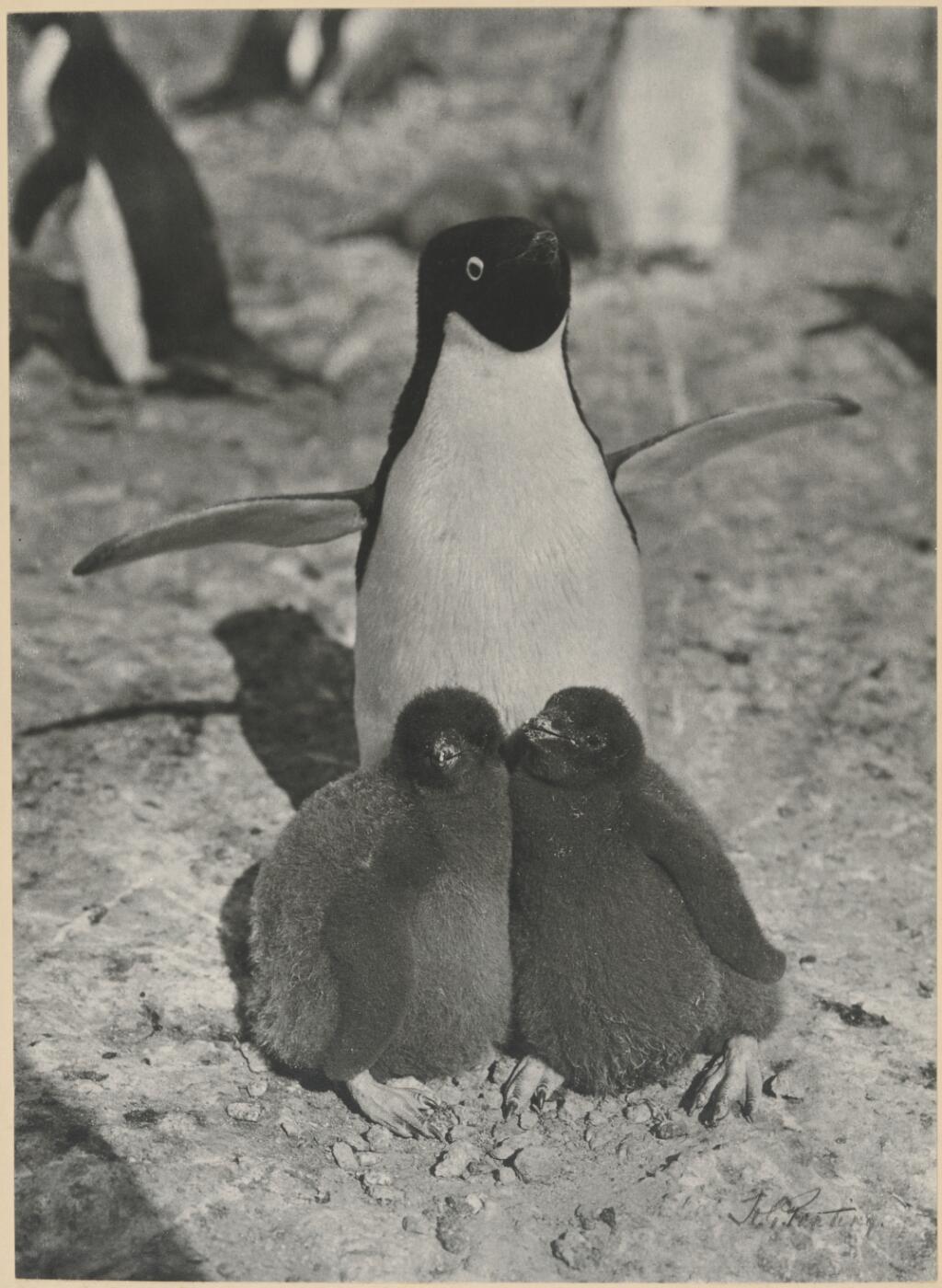 Das erste Online-Seminar