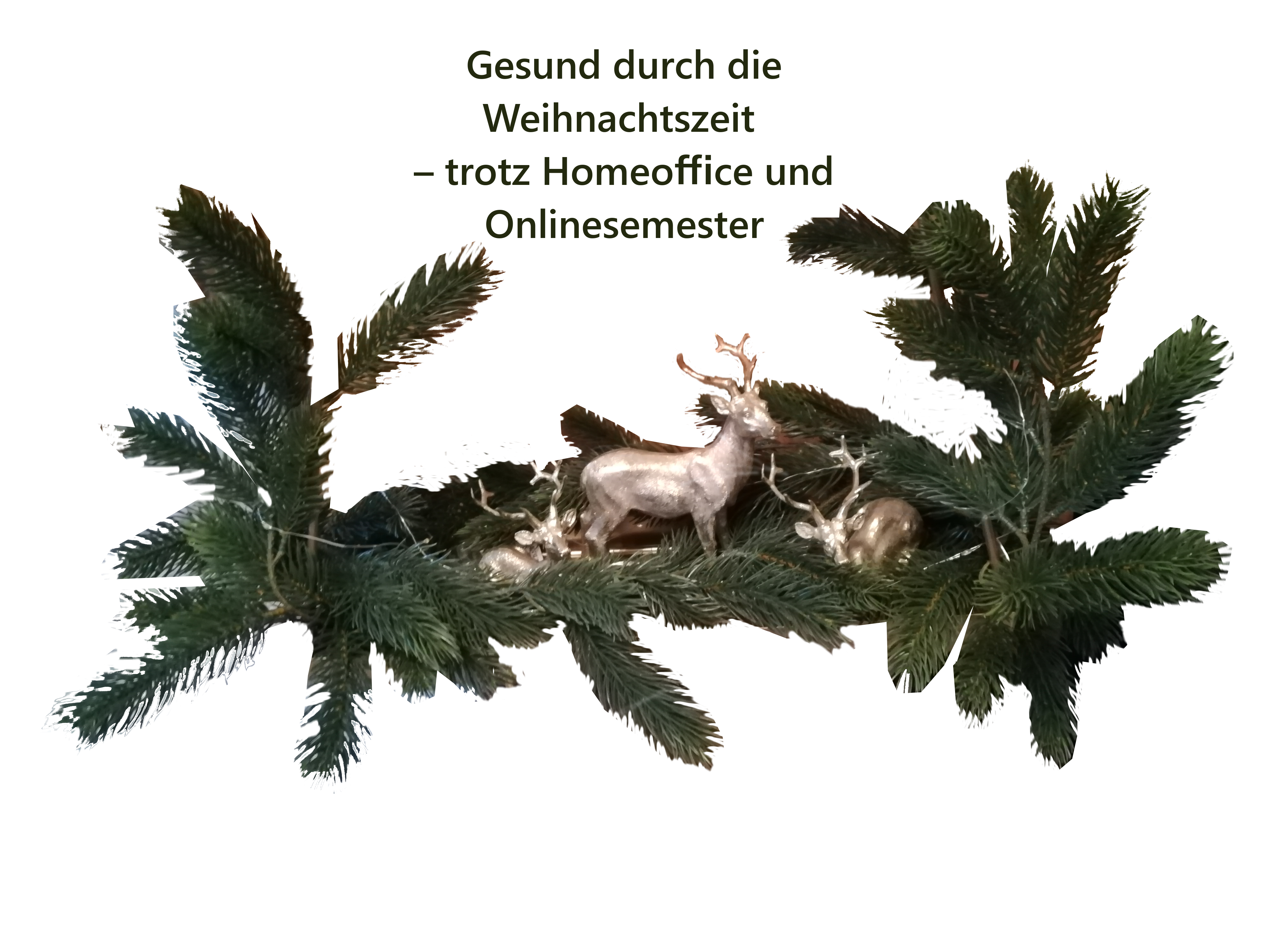 Gesund durch die Weihnachtszeit – trotz Homeoffice und Onlinesemester