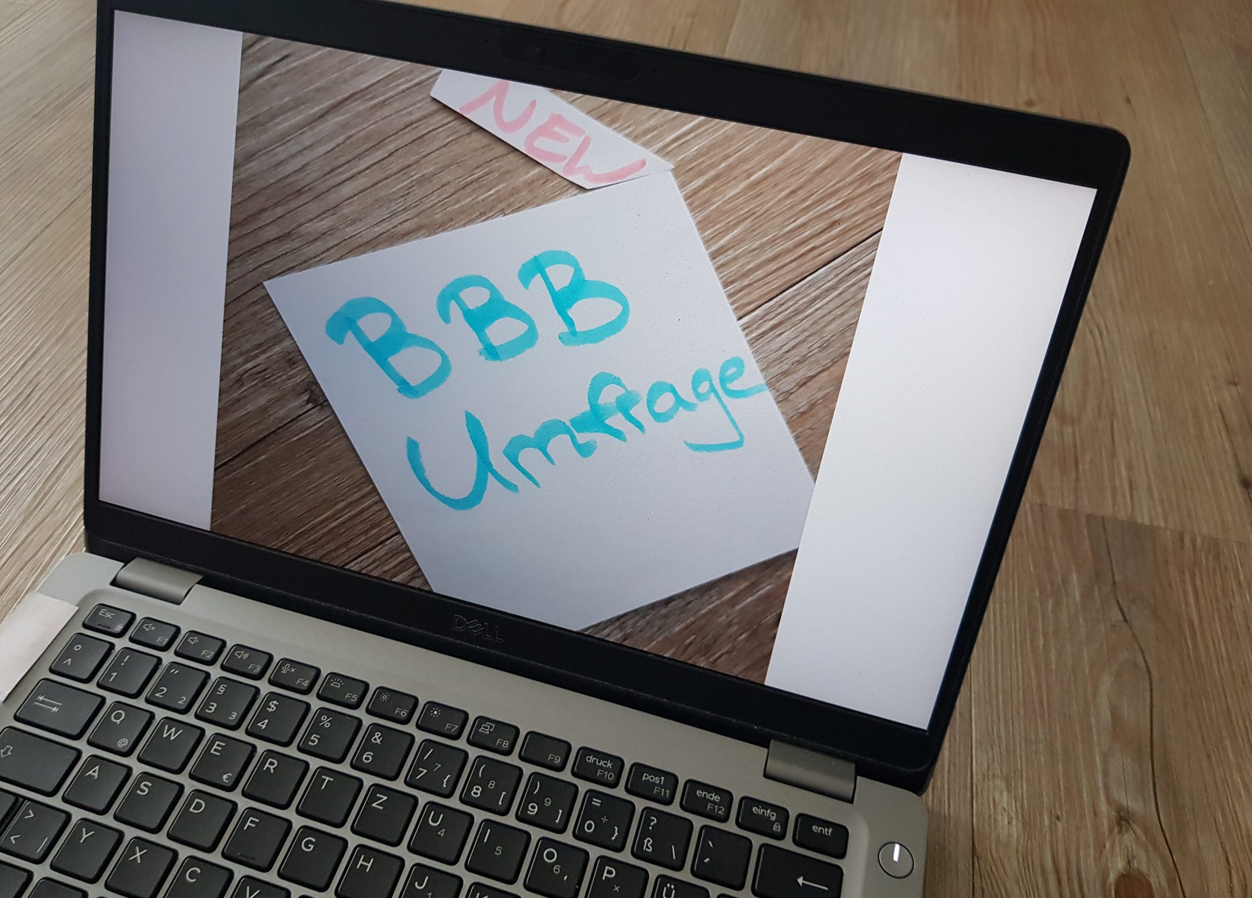 Beitragsbild BBB Umfrage