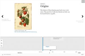 Quelle: https://h5p.org/timeline