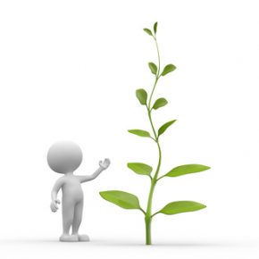 3d people - man, person with plant, fotolia.com
