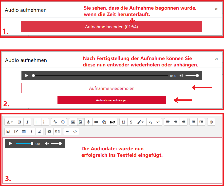 Audio aufnehmen_Schritte