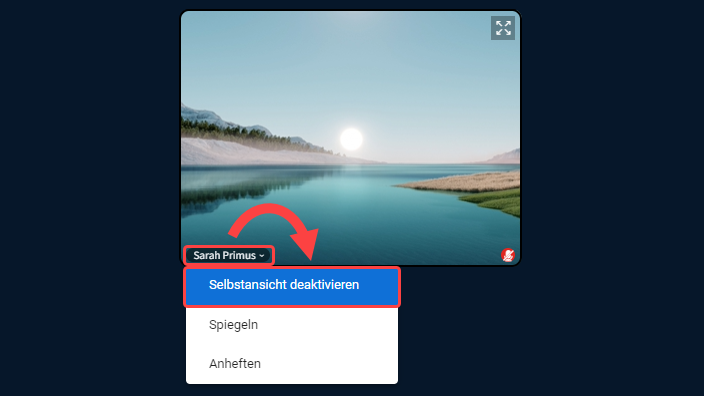 BBB 2.7 Webcam Selbstansicht deaktivieren BBB 2.7 Webcam Selbstansicht deaktivieren